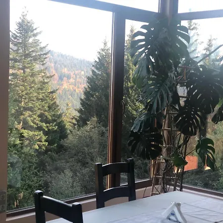 Genco Mountain View 普雷代亚尔